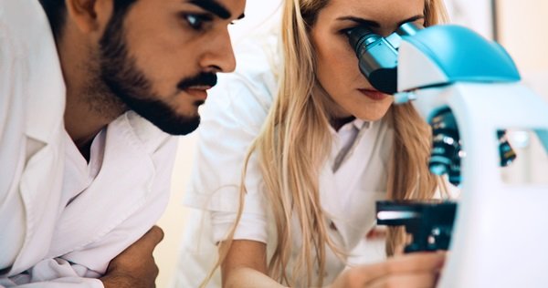 Developer Puts Lottie Under the Microscope