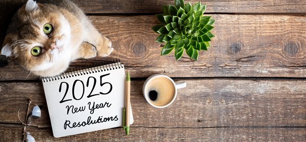 Cybersecurity Resolutions for 2025 – IT Security Guru