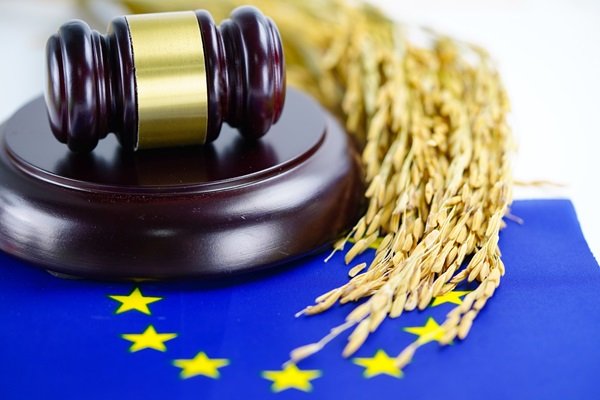 TR v Land Hessen – DPA not obliged to fine under the GDPR